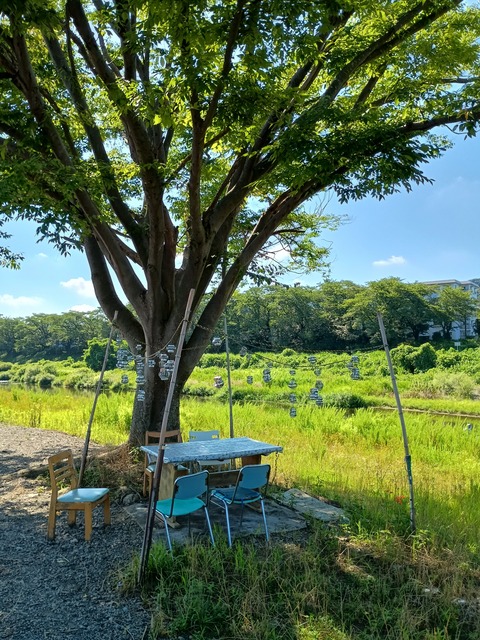 IMG_20250721_084053952_HDR