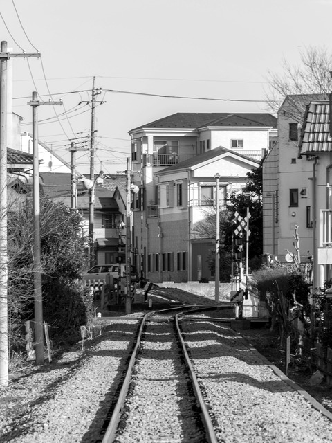 DSC_2491