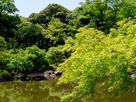 DSCF8971