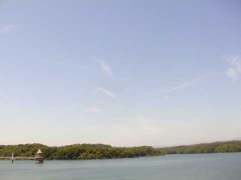 IMAG0021