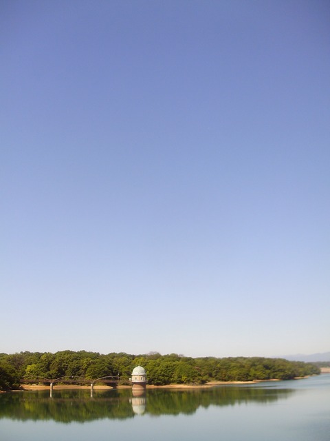 IMAG0005~2