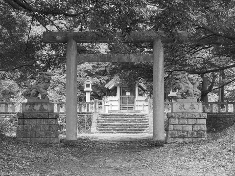 P2080385
