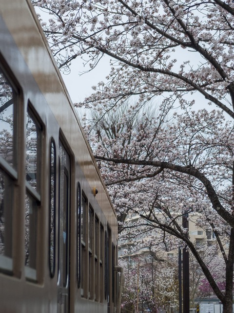 DSC_2857