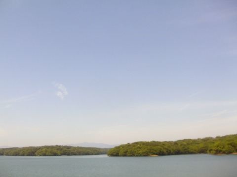 IMAG0020
