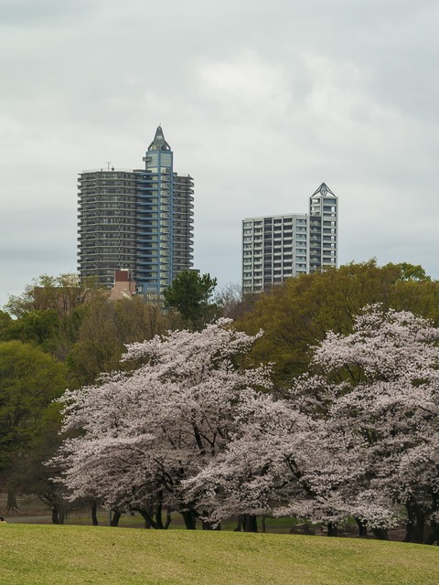 P3270736