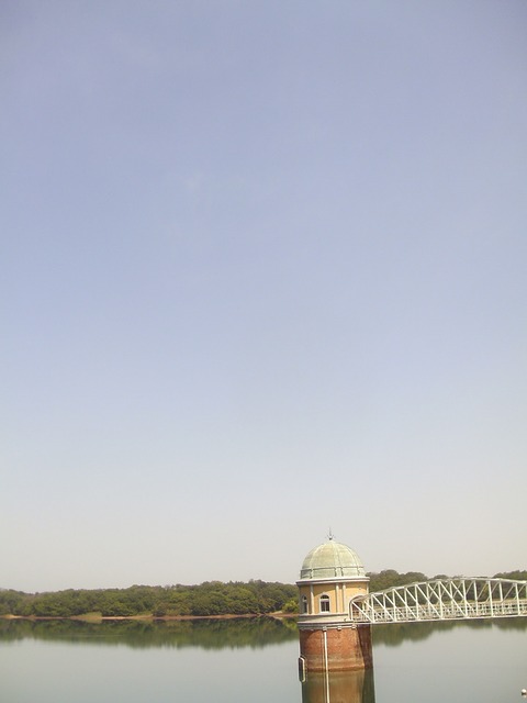 IMAG0056