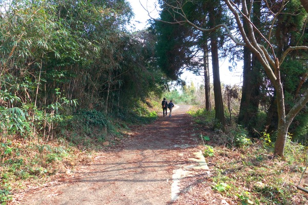 s-P1090259