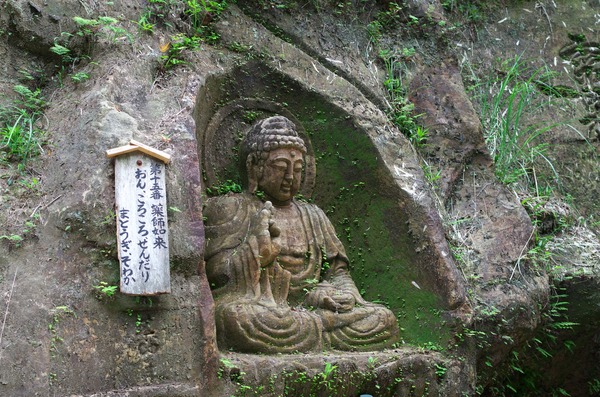 s-IMGP7689