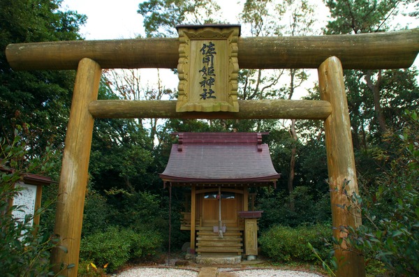 s-IMGP0651