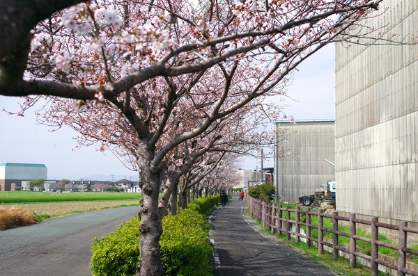 s-IMGP4215