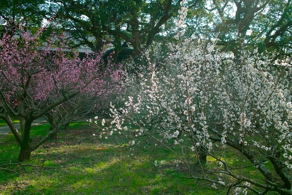 s-SDIM0770