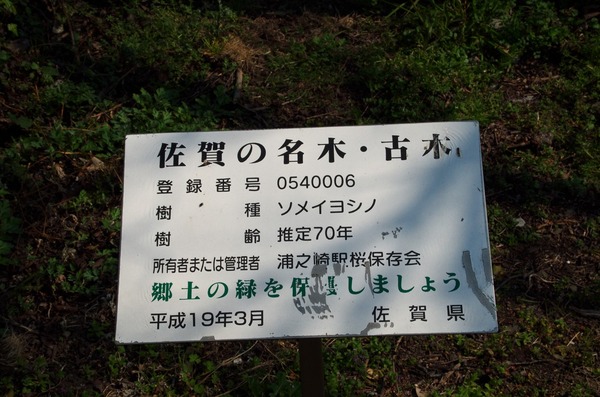 s-IMGP8691