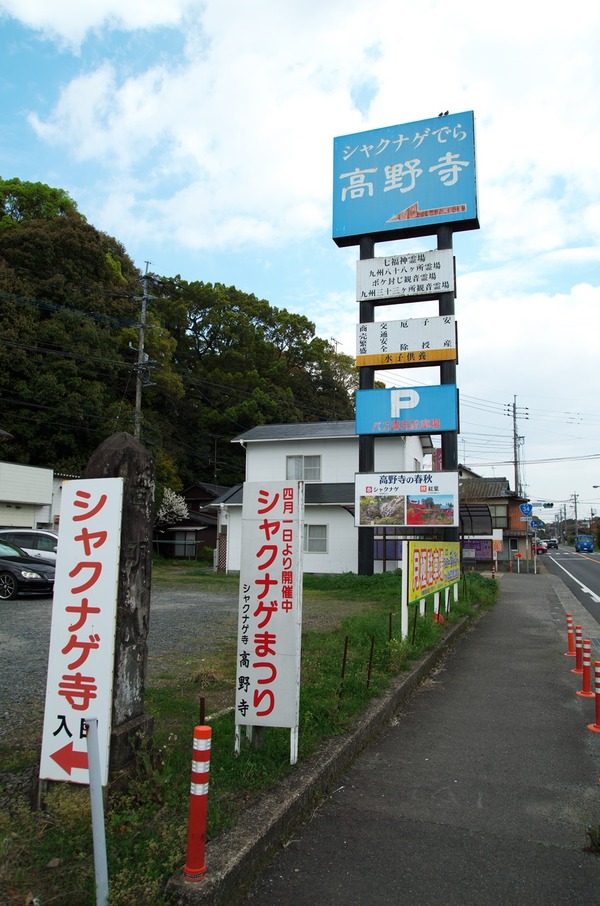 s-IMGP5627