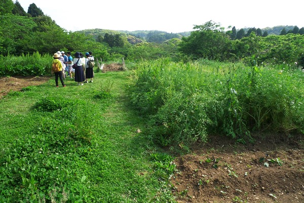 s-P1050239