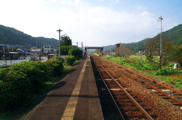 s-IMGP9941