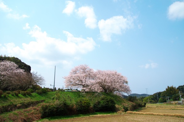 s-IMGP4380