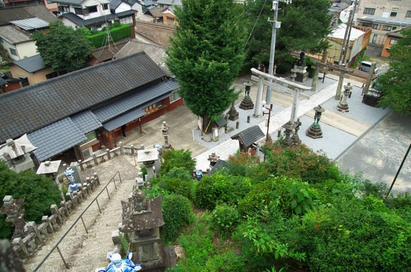 s-IMGP8433