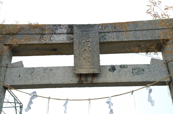 s-IMGP4562