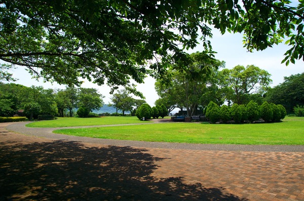 s-IMGP7084