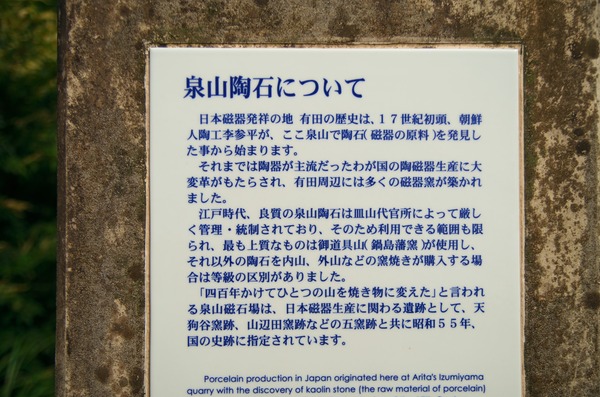s-IMGP8529