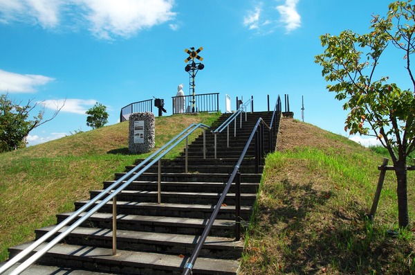 s-IMGP9377