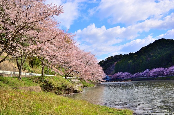 s-DSC_1517_00001
