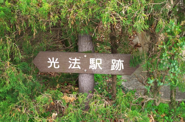s-IMGP4292