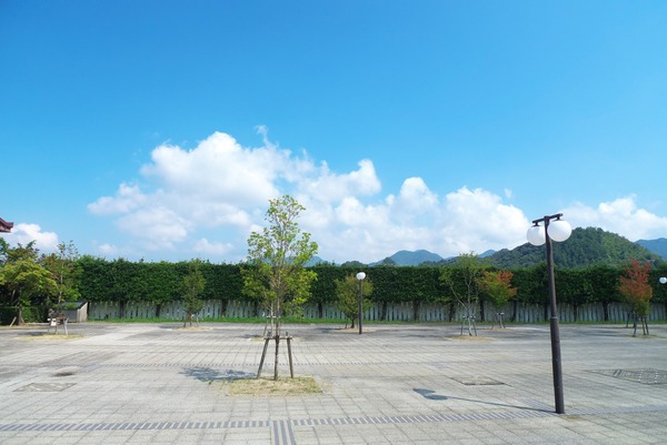 s-P1070443