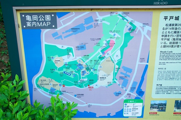 s-IMGP7118