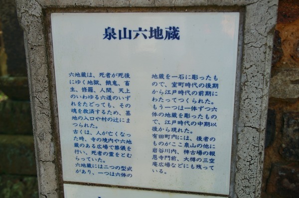 s-IMGP8589