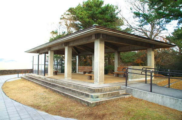 s-IMGP0666