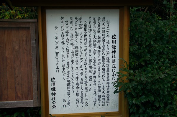 s-IMGP0653