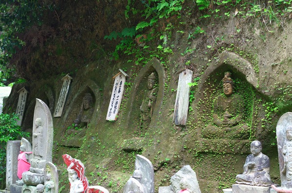 s-IMGP7688