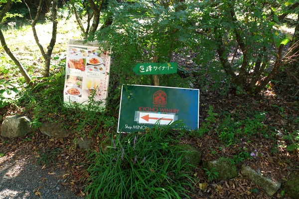 s-P1060600