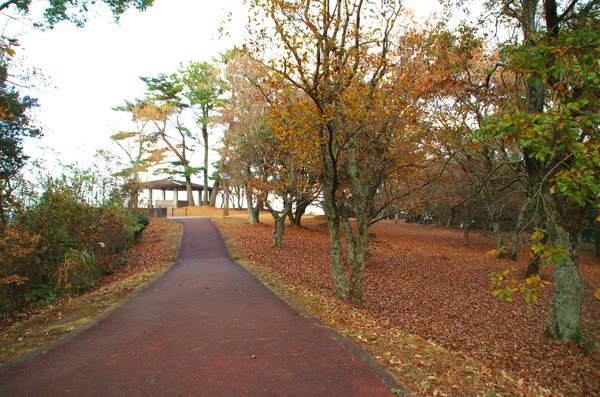 s-IMGP0661