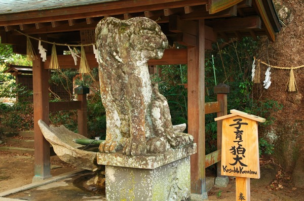 s-IMGP2275
