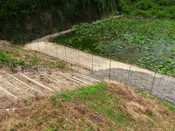 s-P1140254