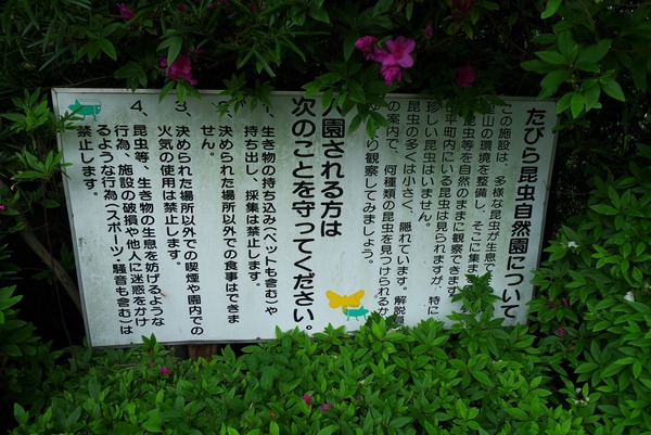 ちょいと長崎へ たびら昆虫自然園 長崎県平戸市 がばいよか佐賀