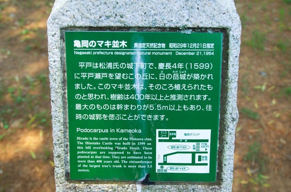 s-IMGP7206