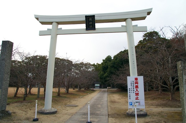 s-IMGP2266