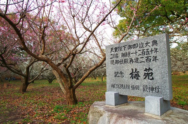 s-IMGP2843