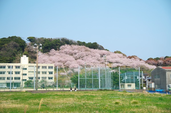 s-IMGP4476
