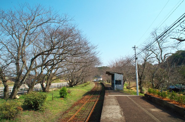 桜の駅 松浦鉄道 浦ノ崎駅 がばいよか佐賀