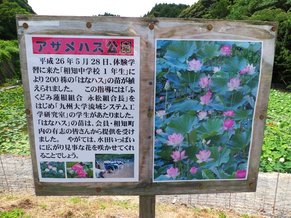 s-P1140079