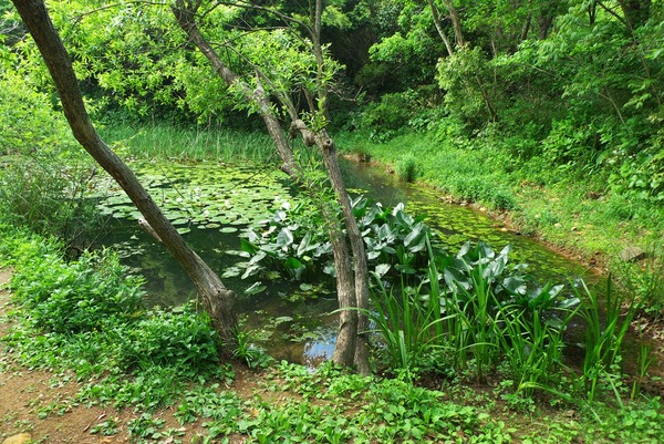 s-P1050268
