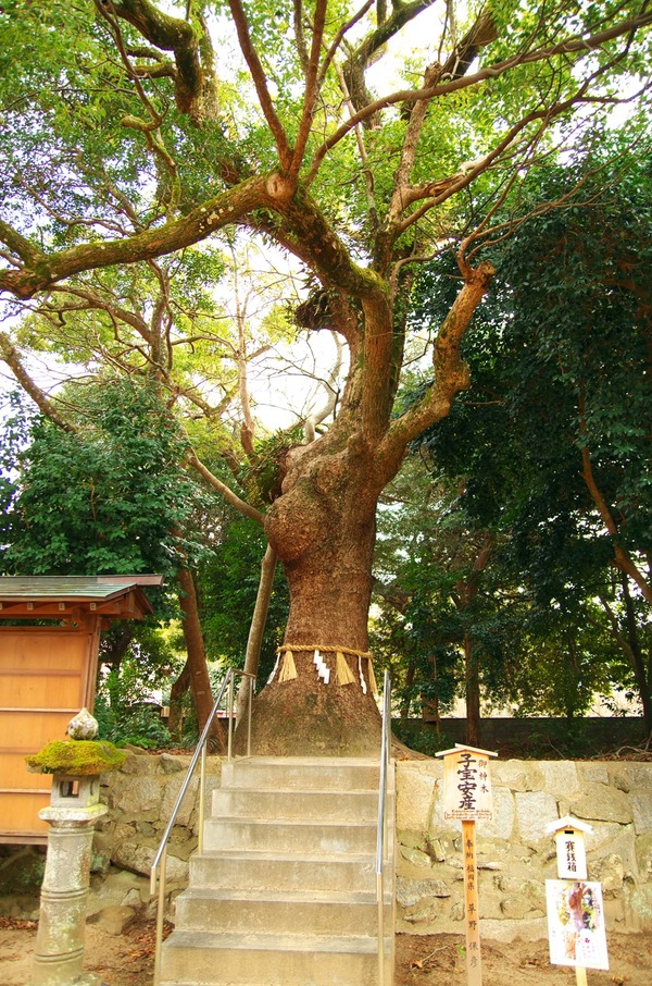 s-IMGP2304