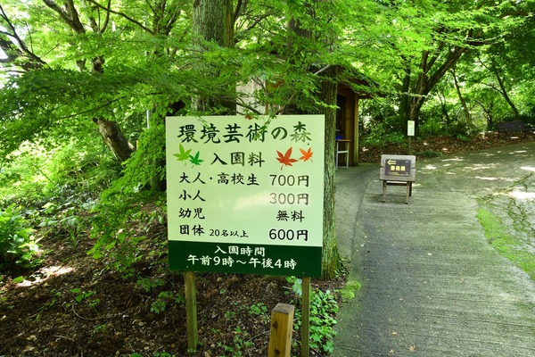 s-DDD_6632