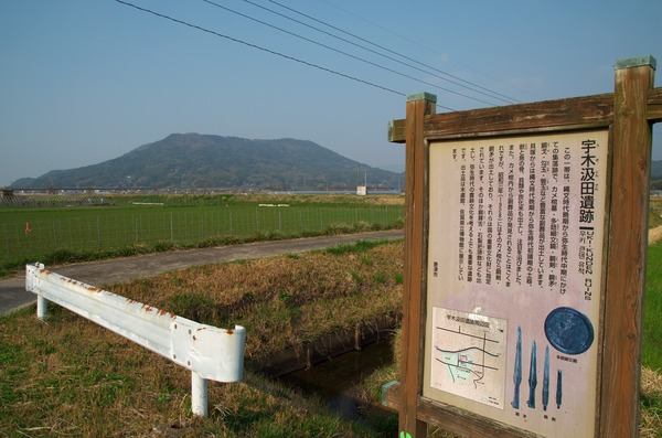 s-IMGP4317