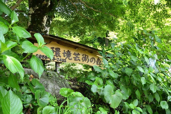 s-DDD_6625