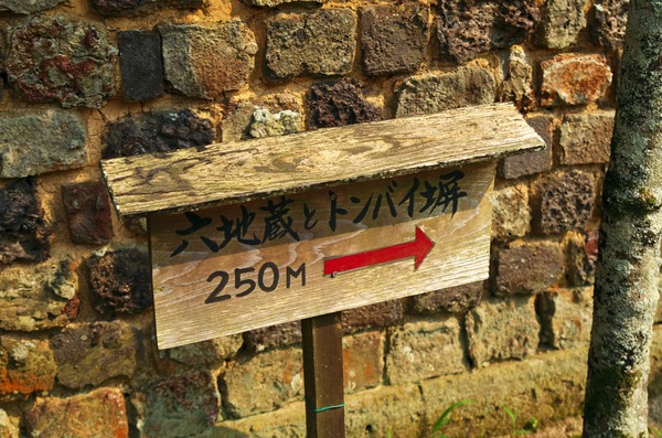 s-IMGP8576